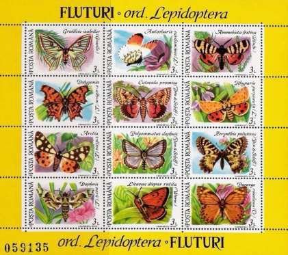 Butterflies