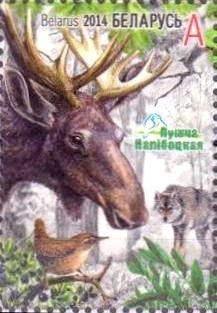 Stamp, Moose (Alces alces), Wolf (Canis lupus), Eurasian Wren (Trog, Belarus,  , Animals (Fauna)