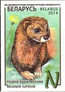 Stamp, European Mink (Lutreola lutreola), Belarus,  , Animals (Fauna)