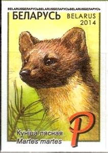 Stamp, European Pine Marten (Martes martes), Belarus,  , Animals (Fauna)