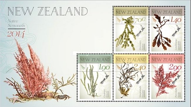 Native Seaweeds