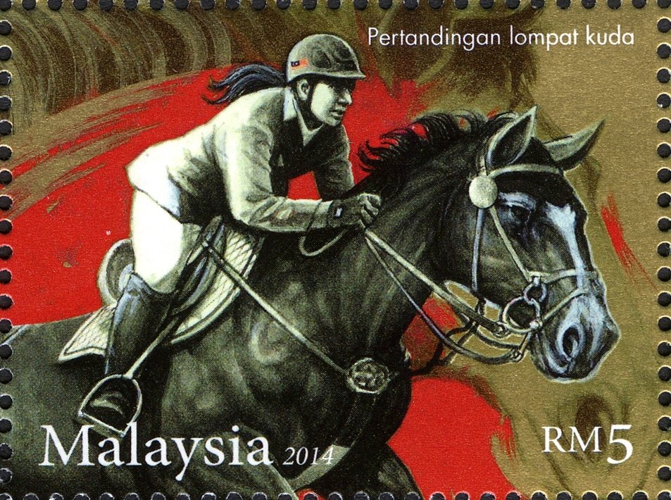 Horses - Show Jumping