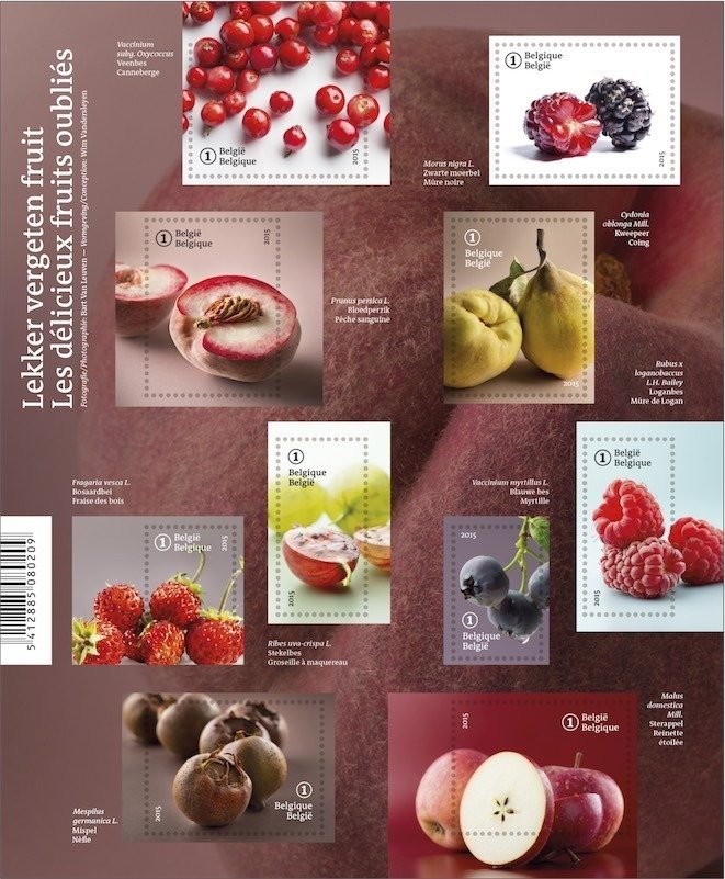 Sheet Delicious Forgotten Fruit