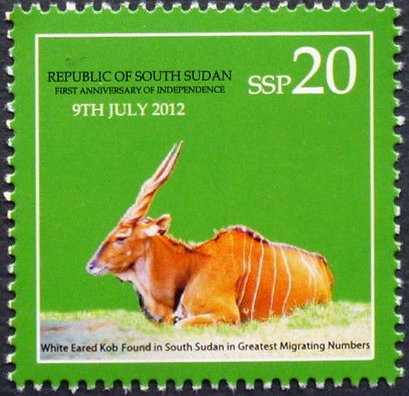 Giant Eland (Taurotragus derbianus)