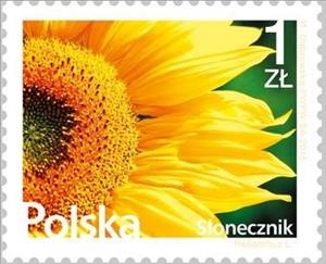 Stamp, Sunflower, Poland,  , Sunflowers, Plants (Flora)