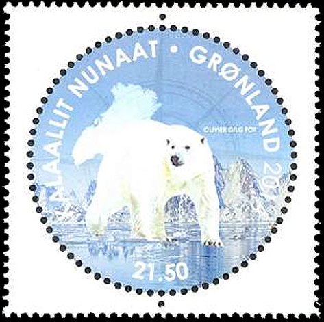 Polar Bear (Ursus maritimus)