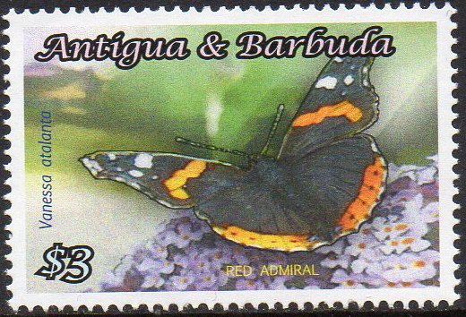 Red Admiral (Vanessa atalanta)