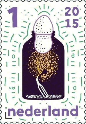 An egg squeezes through the narrow neck of a bottle