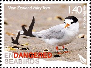 Stamp, Australian Fairy Tern (Sternula nereis nereis), New Zealand,  