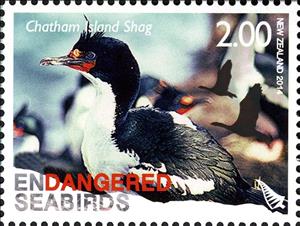 Stamp, Chatham Island Shag (Phalacrocorax onslowi), New Zealand,  