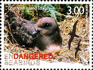 Stamp, Magenta Petrel (Pterodroma magentae), New Zealand,  