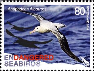 Stamp, Antipodean Albatros (Diomedea antipodensis), New Zealand,  