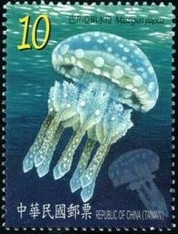 Spotted Jelly (Mastigias papua)