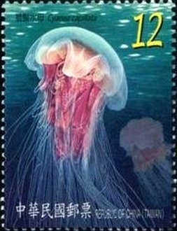 Stamp, Lion's Mane Jellyfish (Cyanea capillata), Taiwan (Republic of China),  , Jellyfish