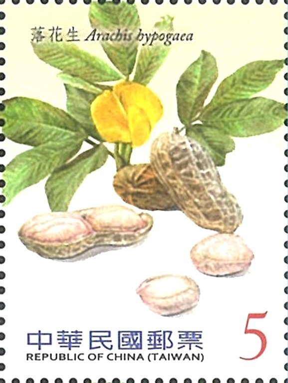 Peanuts