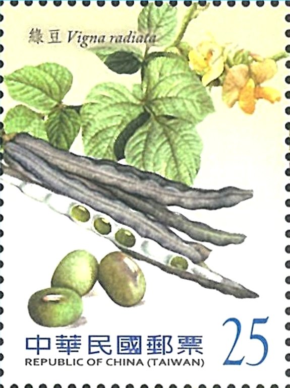Mung beans