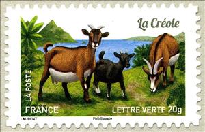 Stamp, Creole Goat (Capra aegagrus hircus), France,  , Goats, Animals (Fauna)