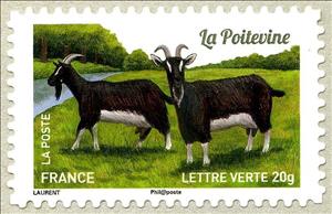 Stamp, Poitevine Goat (Capra aegagrus hircus), France,  , Goats, Animals (Fauna)