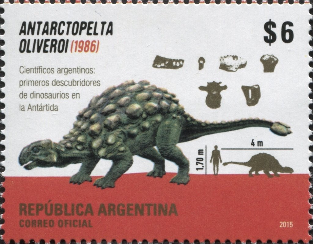 Antarctopelta oliveroi, Fossil and Recovery