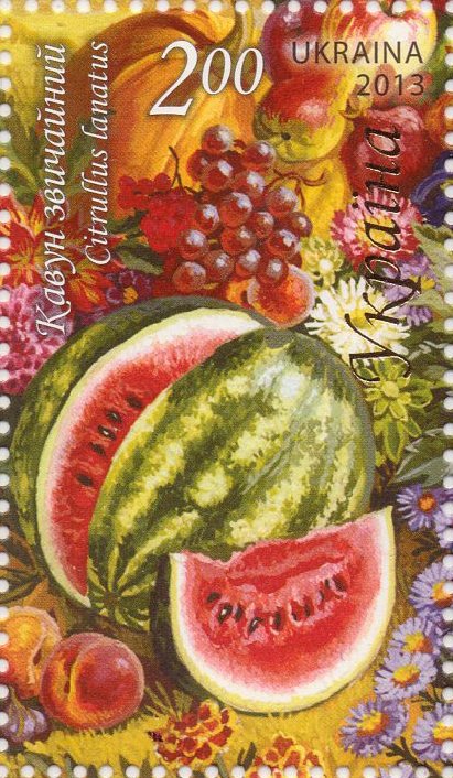 Watermelon (Citrullus lanatus)