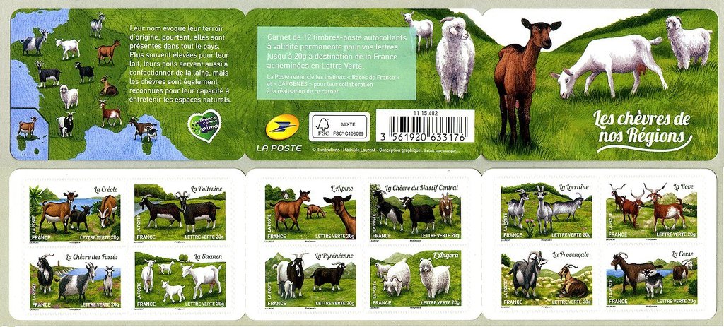 Goats of our Regions