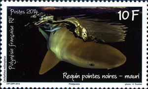 Stamp, Blacktip Reef Shark (Carcharhinus melanopterus), French Polynesia,  , Sharks, Animals (Fauna), Fishes