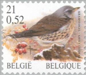 Stamp, Fieldfare (Turdus pilaris), Belgium,  , Birds, Animals (Fauna)
