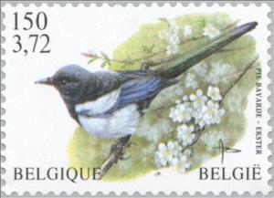 Stamp, Eurasian Magpie (Pica pica), Belgium,  , Birds, Animals (Fauna)