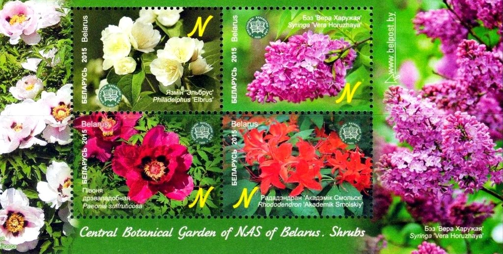 Central Botanical Garden