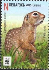 Stamp, Speckled Ground Squirrel (Spermophilus suslicus), Belarus,  , WWF, Animals (Fauna)