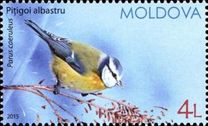 Stamp, Eurasian Blue Tit (Parus caeruleus), Moldova,  , Birds