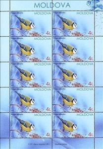 Mini Sheet, Eurasian Blue Tit (Parus caeruleus), Moldova,  , Birds