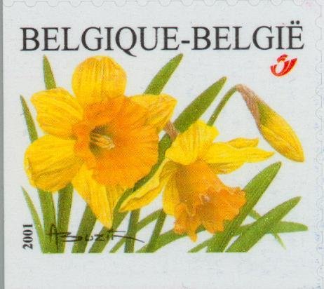 Wild daffodil. Left and bottom imperforate