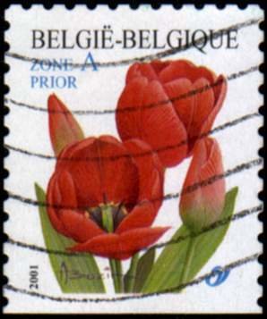 Red Tulip Selfadhesive Bottom imperforate