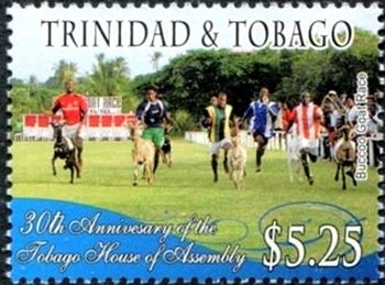 Buccoo Goat Race