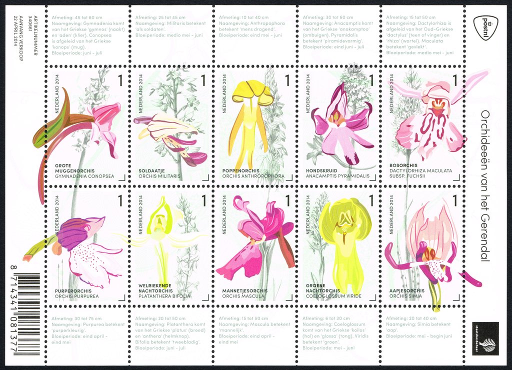 Orchids of the Gerendal
