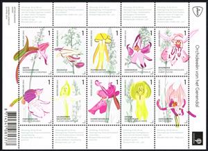 Mini Sheet, Orchids of the Gerendal, Netherlands,  , Flowers, Orchids, Plants (Flora)