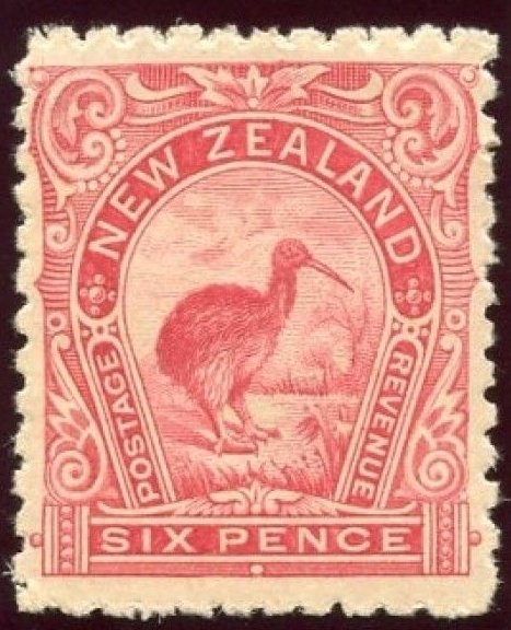 Brown Kiwi (Apteryx australis)