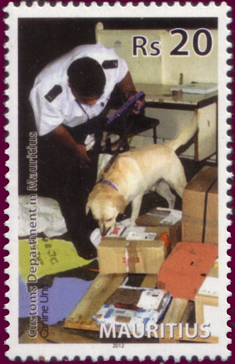 Handler with sniffer dog checking packages at the PPO