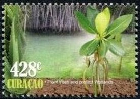 Plant trees and protect wetlands