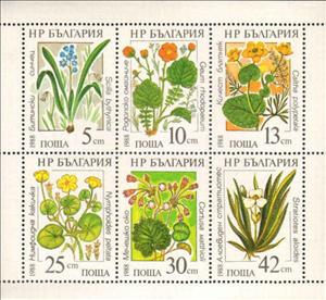 Mini Sheet, Mini Sheet with No. 3628-33, Bulgaria,  , Flowers, Plants (Flora), Aquatic Plants