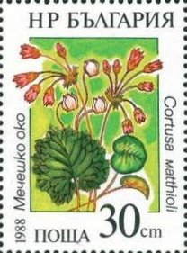 Stamp, Cortusa matthioli, Bulgaria,  , Flowers, Plants (Flora), Aquatic Plants