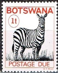 Zebra