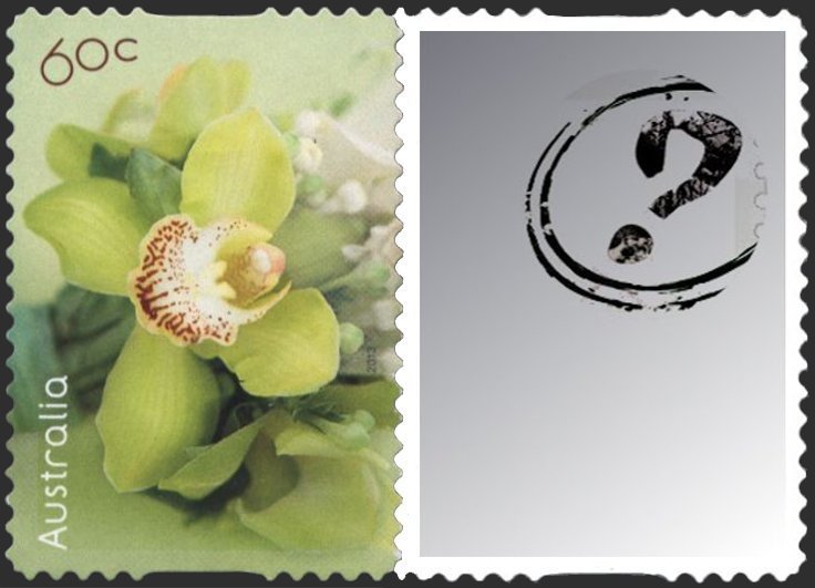 Orchid