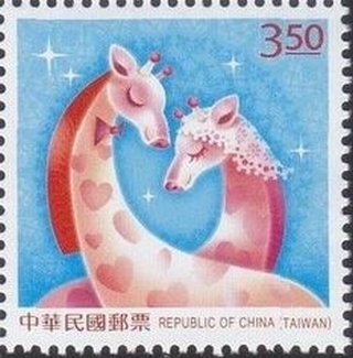 Couple of giraffes