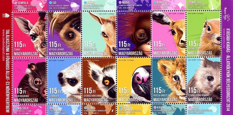 Child animals