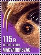Stamp, Unau (Choloepus didactylus), Hungary,  , Mammals, Animals (Fauna)