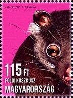 Stamp, Ground Cuscus (Phalanger gymnotis), Hungary,  , Mammals, Animals (Fauna)