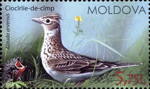 Stamp, Eurasian Skylark (Alauda Arvensis), Moldova,  , Birds