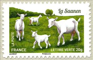 Stamp, Saanen Goat (Capra aegagrus hircus), France,  , Goats, Animals (Fauna)